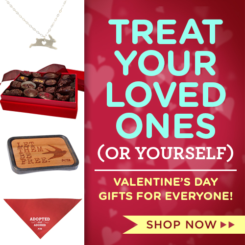 Treat Your Loved Ones Vday Sale