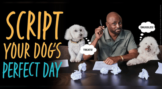 Wayne Brady with his two dogs with the words script your dogs perfect day
