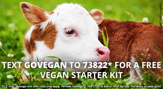 order a free vegan starter kit