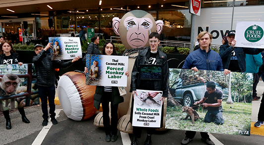 Image from Whole Foods protest.