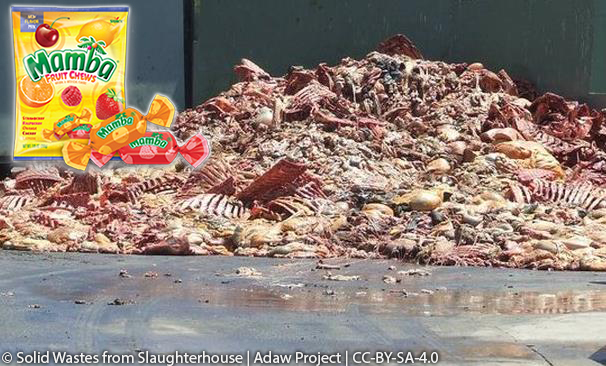 photo of leftover body parts from slaughterhouse that produces gelatin.