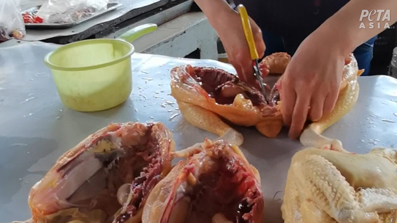 photo of person cutting chicken with no gloves