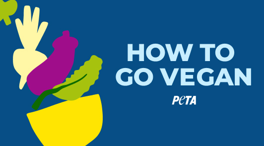 How to Go Vegan Banner