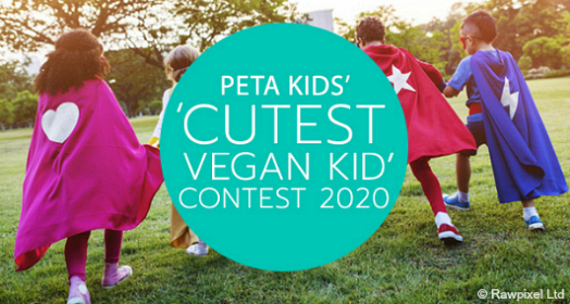 nominate a vegan kid