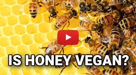 is honey vegan