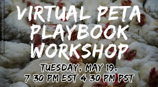 Building The Animal Rights Community Workshop