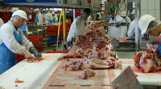 slaughterhouse workers