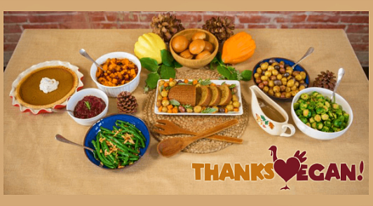 your thanksvegan guide