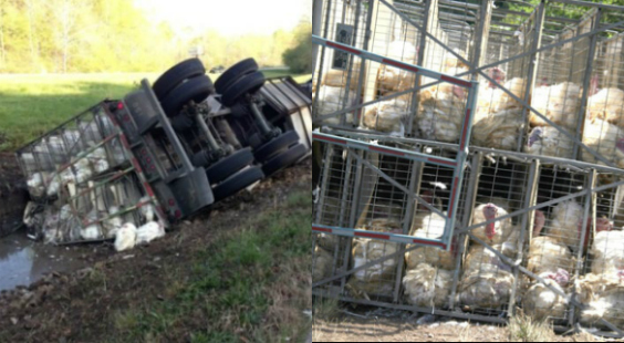 Truck crashes