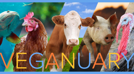 join us for Veganuary