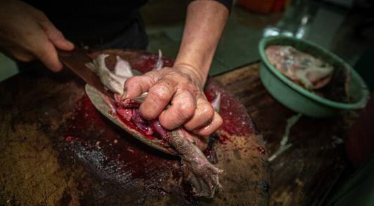 a look inside wet markets