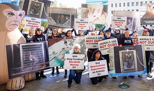 Image from NIH protest.