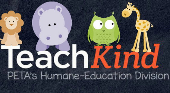 Free TeachKind Resources
