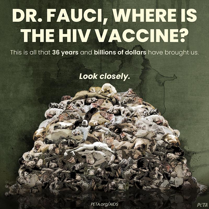 illustration of pile of dead primates with text that reads "Dr. Fauci, where is the HIV vaccine?"
