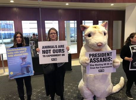 A giant "rat" and other PETA supporters attended the University of Delaware's Board of Trustees meeting to call for an end to Tania Roth's sickening and useless "child abuse" and spinal cord injury experiments on baby rats.