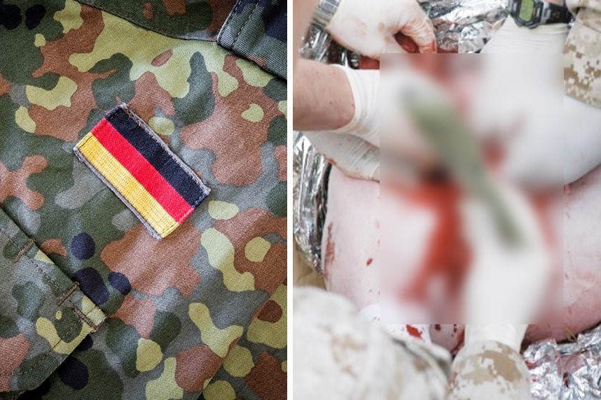 photo of animal used for live tissue training next to photo of german military uniform