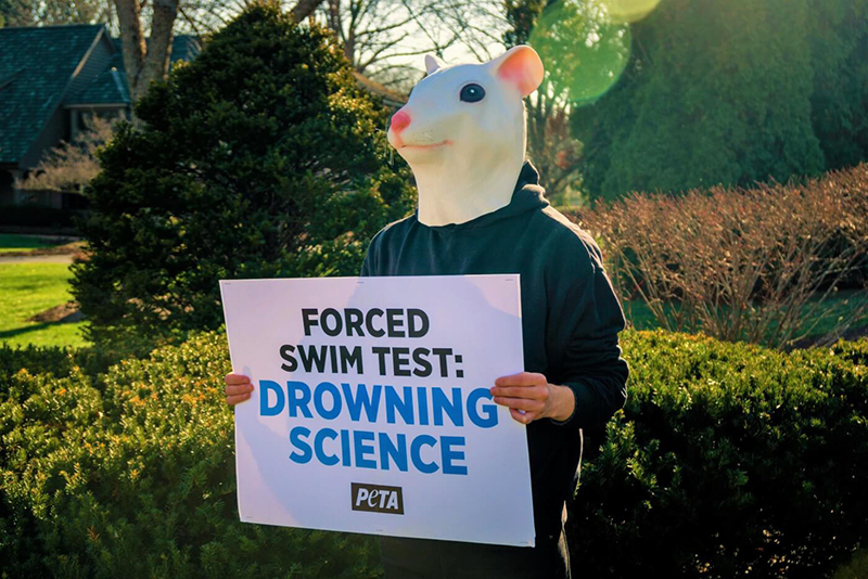 photo of demo person wearing rat masks holding a sign