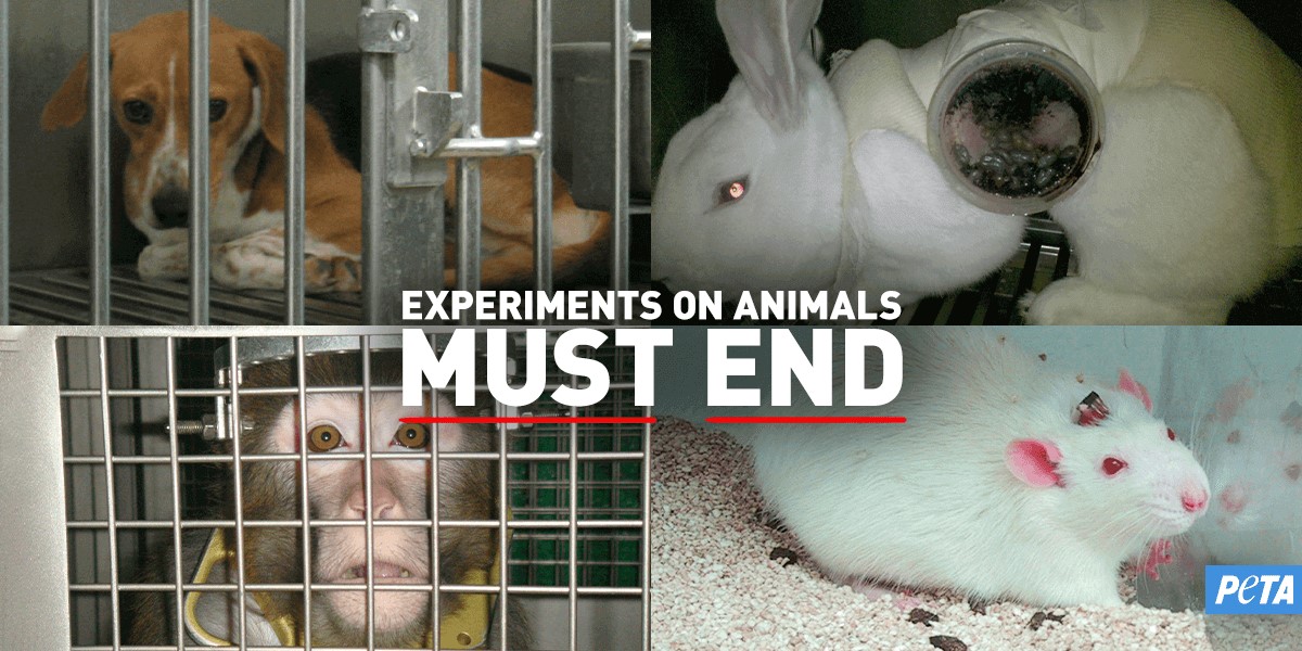 VIV Animal Testing Must End dog rabbit primate rat collage CMP ftc World Week for Animals in Laboratories: Sign Up for 7 Days of Actions