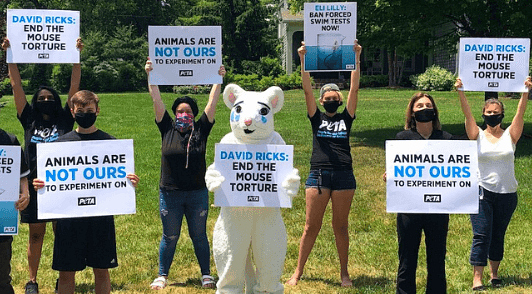 lead a PETA protest