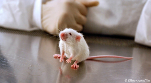 research that does not harm animals