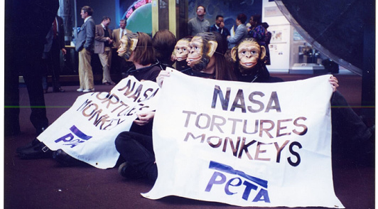 PETA Stopped these twisted experiments