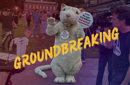 Image of PETA Protest