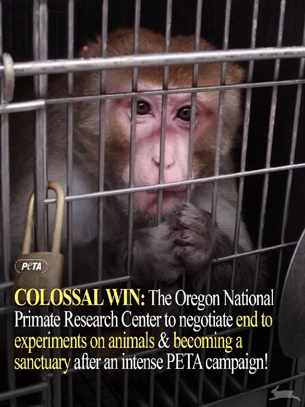 Image of ONPRC caged monkey with victory text
