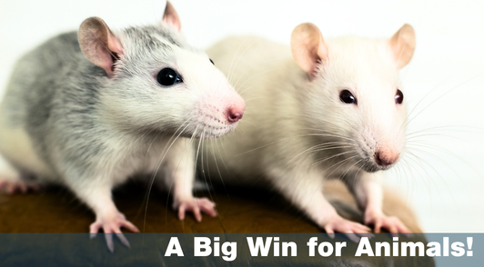 A big win for animals!