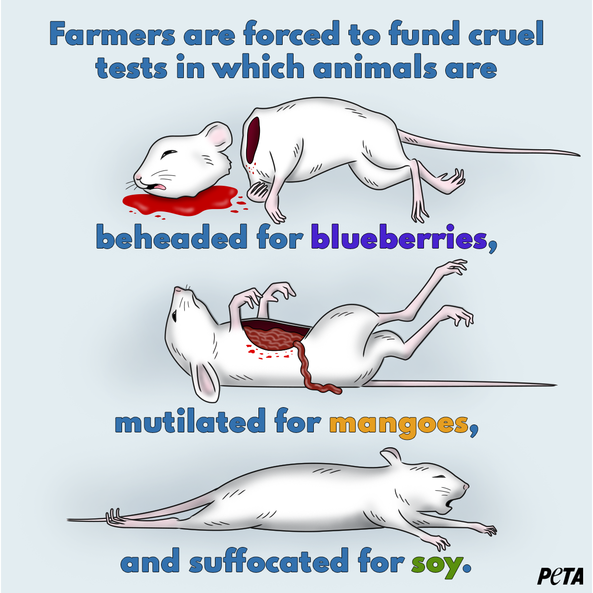 Animals Beheaded for Blueberries? USDA Farmer 'Tax' Funds Cruel Tests | PETA