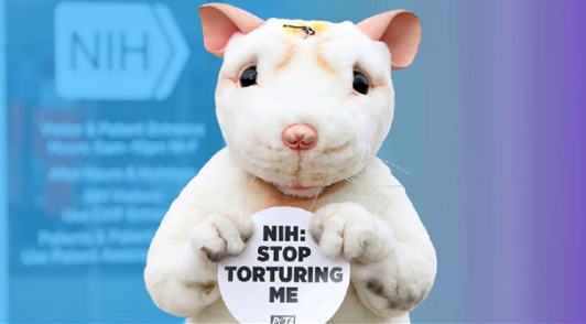 person dressed in a mouse costume holding a sign reading NIH stop torturing me