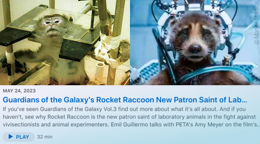  MAY 24,2023 Guardians of the Galaxy's Rocket Raccoon New Patron Saint of Lab.. If you've seen Guardians of the Galaxy Vol3 find out more about what it's all about. And i you haventt, see why Rocket Raccoon s the new patron saint of laboratory animals in the fight against vivisectionists and animal experimenters. Emil Guillermo talks with PETA's Amy Meyer on the film's. PLAY 32min 