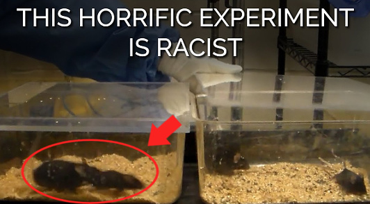 end these racist experiments