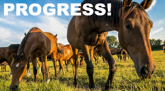 help save horses