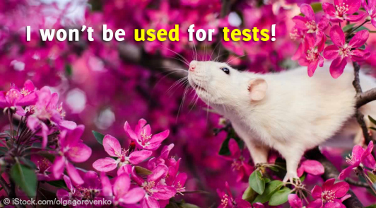 help stop other animal tests