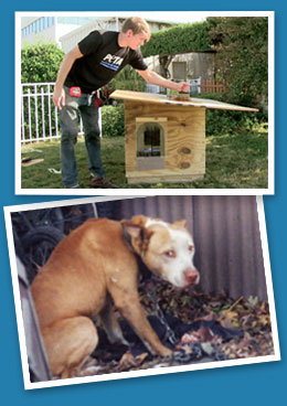 Building a doghouse