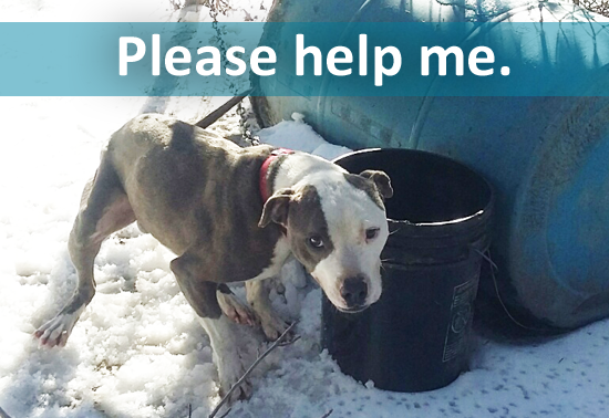Please help me