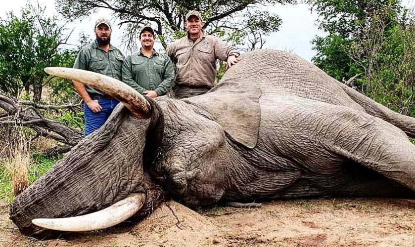 American trophy hunter Aaron Raby (center) poses with the elephant he killed outside Kruger National Park.
