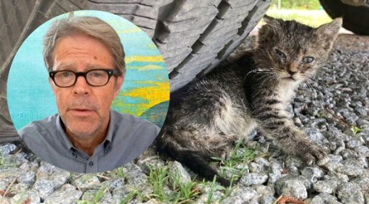 Image of author Franzen next to an image of a kitten under a car