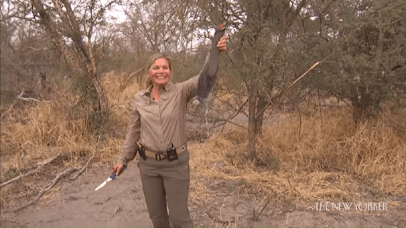 photo of A smiling Susan LaPierre—wife of National Rifle Association Executive Vice President Wayne LaPierre—stands with the tail of an elephant she just killed in one hand and the knife she used to saw it off in the other