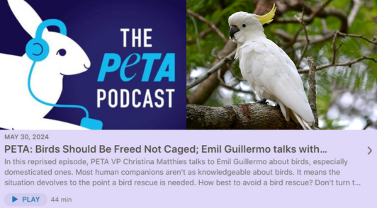 PETA podcast logo next to a white bird above a description of the podcast episode