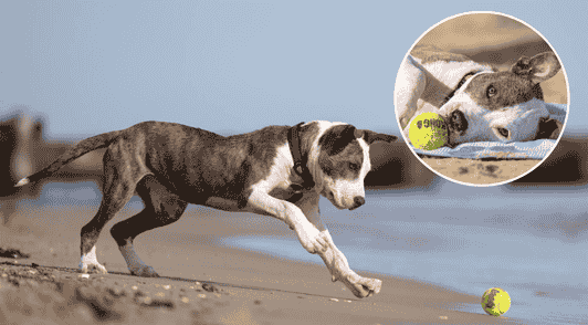 Cameron chasing ball on the beach