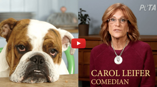 Carol Leifer next to image of a breathing imapired dog