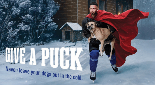 Evander Kane wearing a superhero cape and holding a dog with the words give a puck never leave your dogs out in the cold