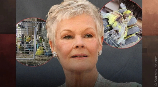 Judi Dench with photos of birds in the background