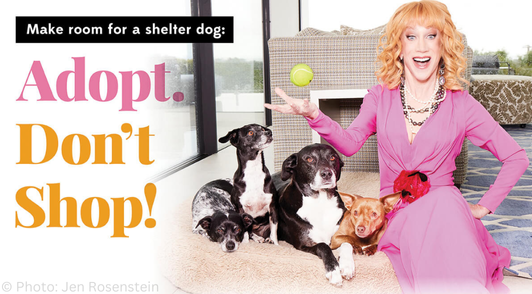 Kathy Griffin sitting next to her four dogs with the words adopt dont shop