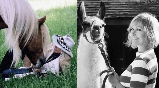 Collage of Kim Novak with animals