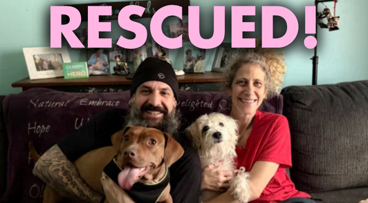 Liora and another rescue dog with their loving family with the word rescued