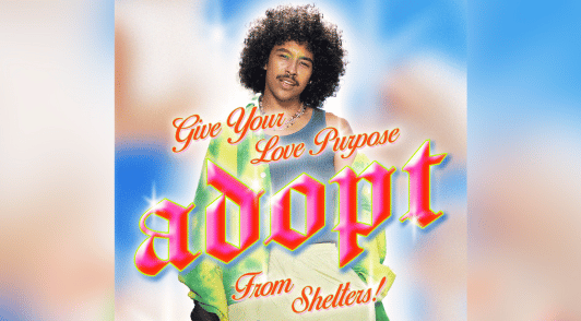 artist Princeton Perez with the words give your love purpose adopt from shelters
