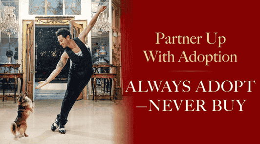 Sasha with his adopted pup on the dance floor