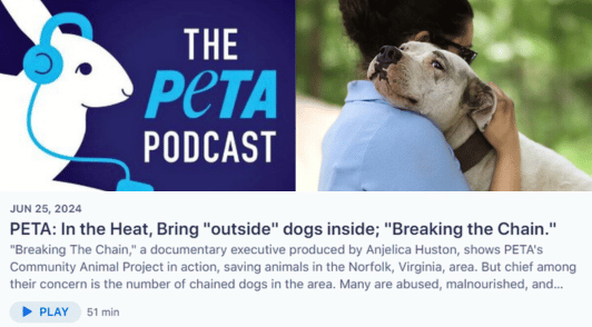 dog resting head on fieldworkers shoulder next to podcast logo and above a description of the podcast episode